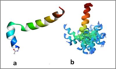 Phenotypic drug discovery: a case for thymosin alpha-1